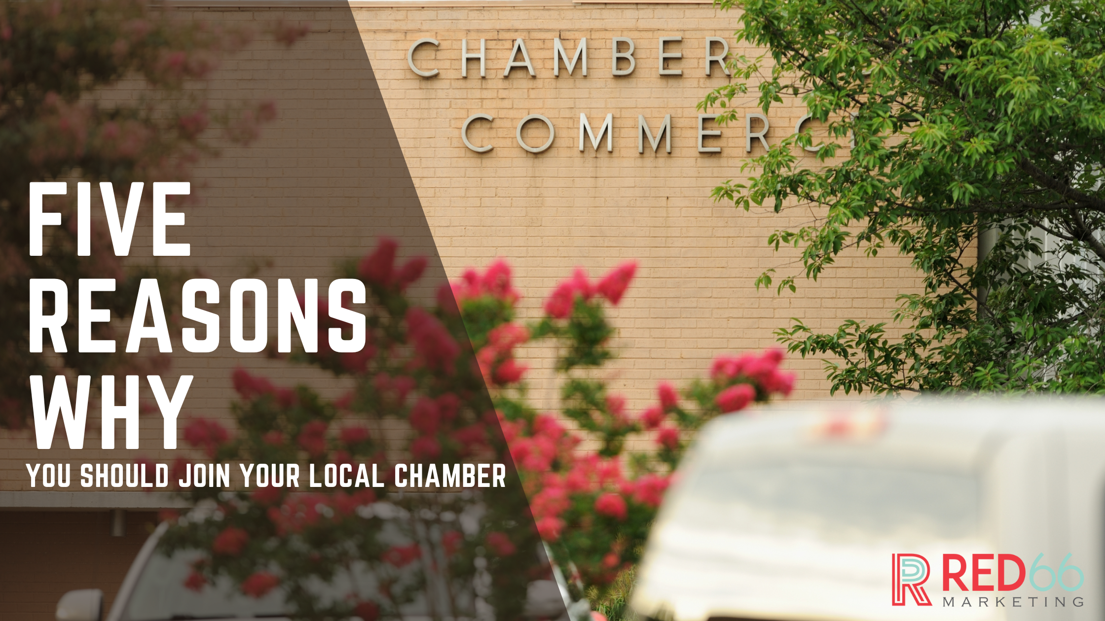 why join a chamber of commerce