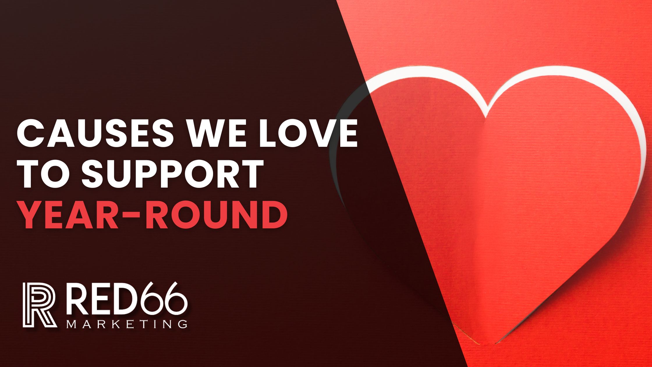 causes we support blog header